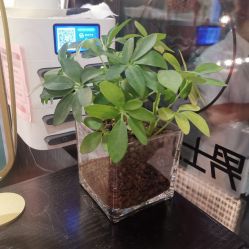 -东方先生国潮男士理发馆