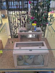 -开心哈乐儿童主题乐园(孙河易事达店)