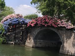 -无锡蠡湖国家湿地公园-蠡园