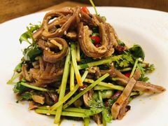 -熊猫家新派川菜(百里一·龙兴集店)