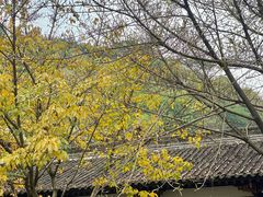 -关岳庙