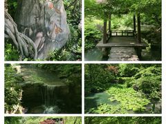 -杭州半山国家森林公园
