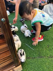 -萌宠亲子动物乐园(槐房万达店)