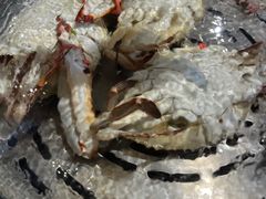 -蓝珊甄选海鲜自助·火锅大排档(近阿那亚店)