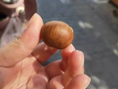 -阿男野栗王(金门路店)