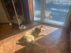 -米莱摄影写真(五大道别墅店)