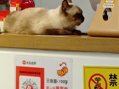 -Heymao猫咖.咖啡厅(东门店)