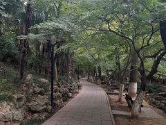 -虞山风景区