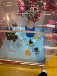 -乐高授权专卖店(中关村领展店)