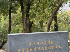 -马王堆汉墓遗址