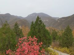 -静之湖湖畔餐厅