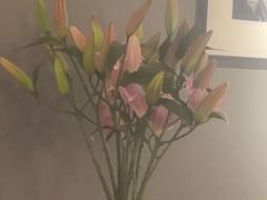 -长安记·大美陕菜(大族广场店)