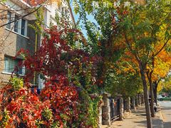 -天津五大道文化旅游区