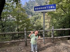 -王顺山国家森林公园