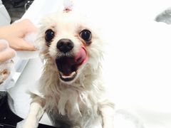 -MOLLY'S萌宠生活馆