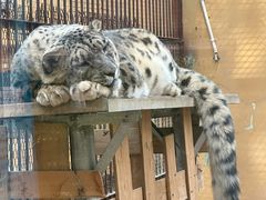 -青藏高原野生动物园