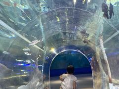 -欢乐海岸海洋奇梦馆