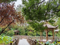 -上海滨江森林公园