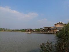 湿地公园-溱湖国家湿地公园