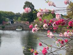 -无锡蠡湖国家湿地公园-蠡园