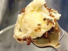 -雀舞云南菜(天津天河城购物中心店)