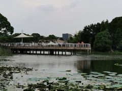 -新江湾城公园