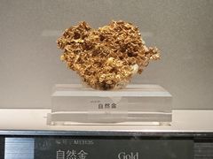 -中国地质博物馆