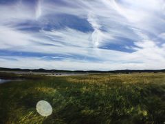 景点-塞罕坝国家级自然保护区