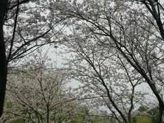 -堤角公园