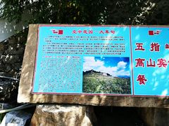 -白草畔自然风景区