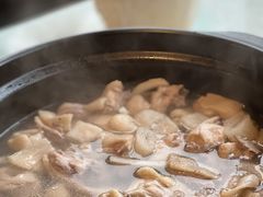 竹荪椰子鸡-烹然四季椰子鸡火锅(团结湖总店)