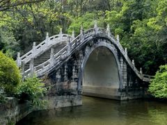 -深圳仙湖植物园
