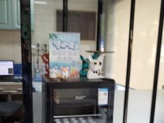 -半岛宠物医院24小时(白果林店)