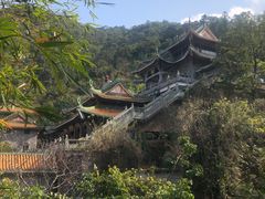 -南海湾森林生态园