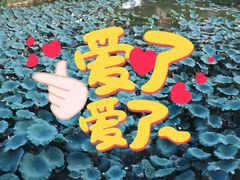 -正嘢私房菜