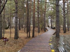 -北极村旅游风景区