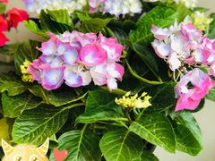 -越美小馆·越南料理(曲江店)