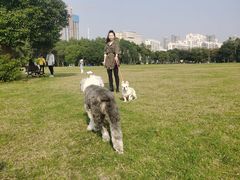 -山明水秀大饭店