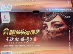 -《驼铃传奇》秀