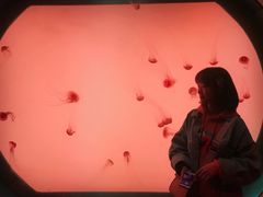 -沈阳海洋探索中心