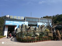 -泉州海丝野生动物世界