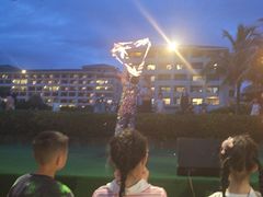 -渔家火锅·海鲜自助餐·演艺(亚龙湾天域酒店)