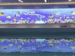 -水贝乐国际水育儿童游泳中心(新业广场店)