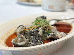 -同庆楼(奥体中心店)