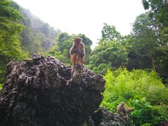 -广西龙虎山风景区