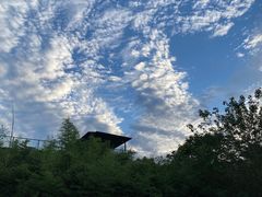 -灞河西岸滨河公园