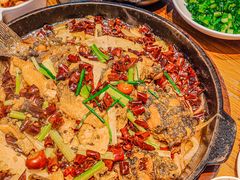 -老板恋上鱼(印象城店)