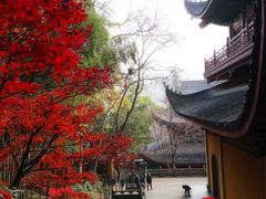 -灵隐飞来峰景区