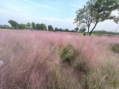 -汉长安城未央宫国家考古遗址公园