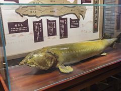 -胖姐渔村(中源大道店)